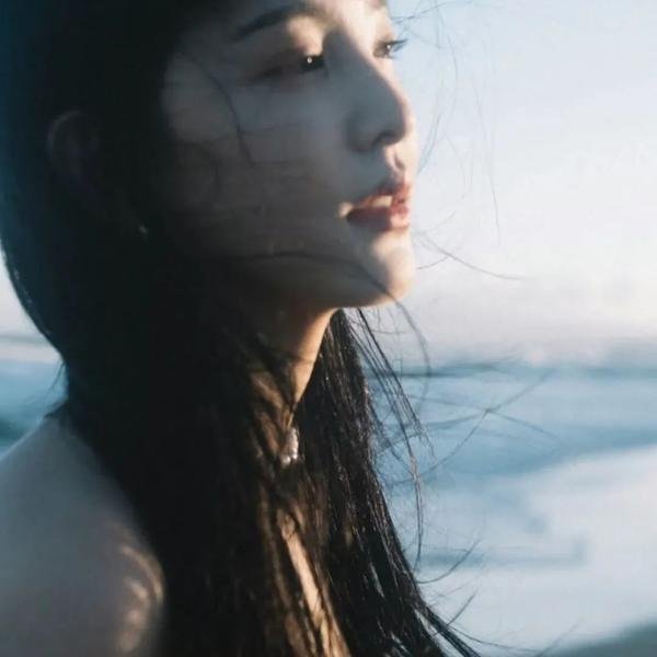 我的新拍档